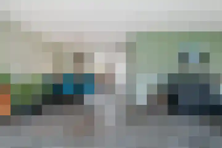 Mahonie 139 Dordrecht thumbnail 13