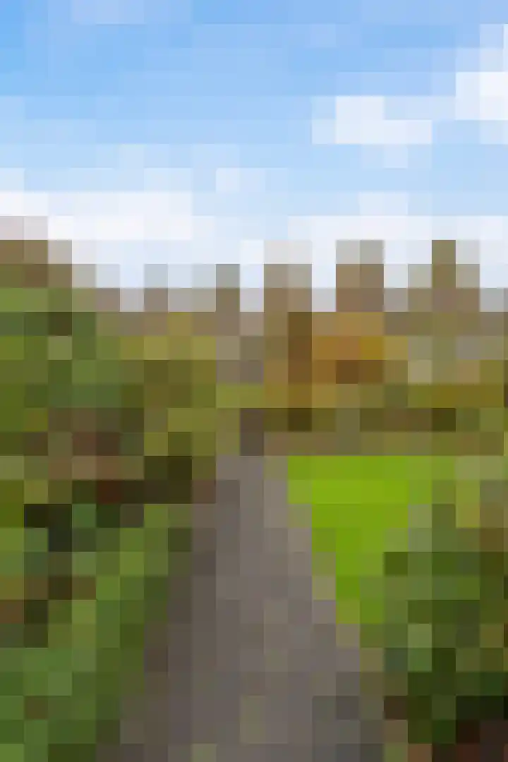 Mahonie 139 Dordrecht thumbnail 30
