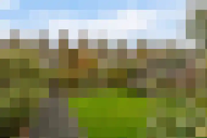 Mahonie 139 Dordrecht thumbnail 32