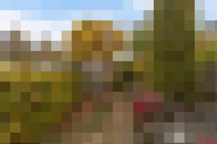 Mahonie 139 Dordrecht thumbnail 33