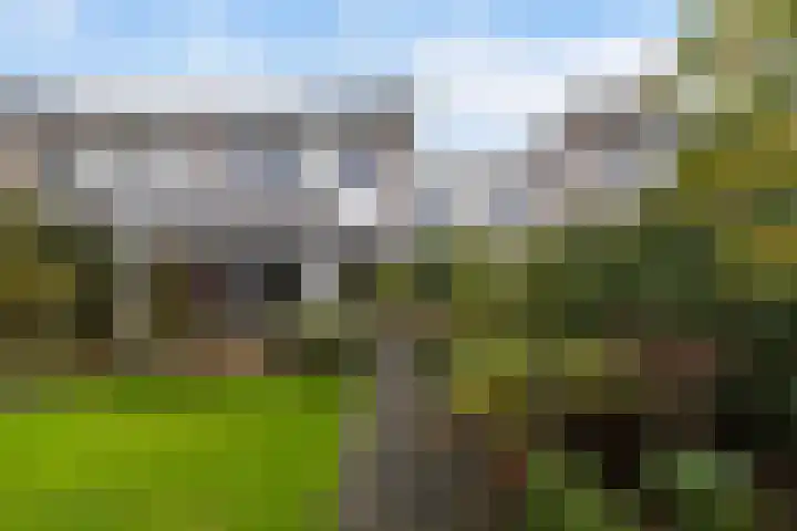 Mahonie 139 Dordrecht thumbnail 36
