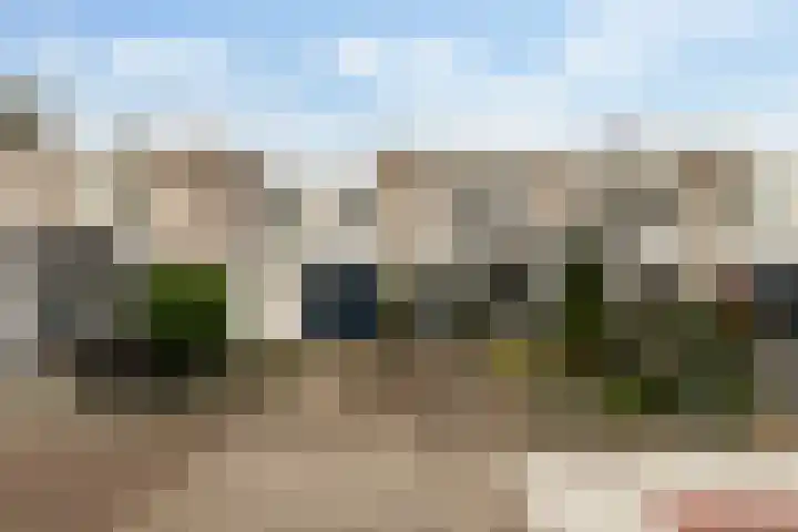 Mahonie 139 Dordrecht thumbnail 40