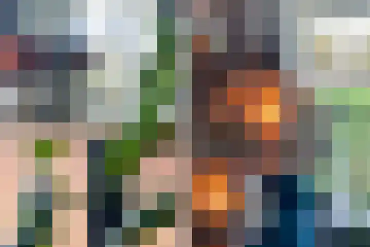 Mahonie 139 Dordrecht thumbnail 9