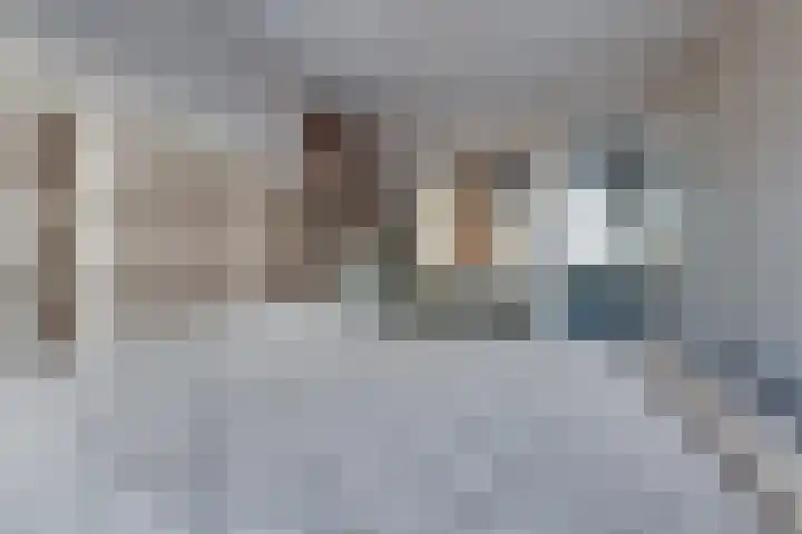 Mahonie 187 Dordrecht thumbnail 17