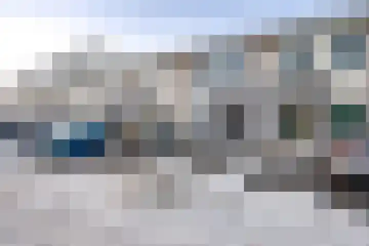 Mahonie 187 Dordrecht thumbnail 4