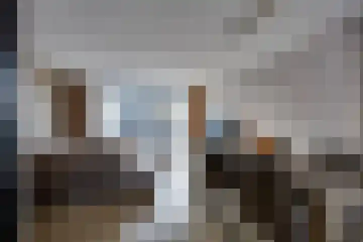 Mahonie 187 Dordrecht thumbnail 8