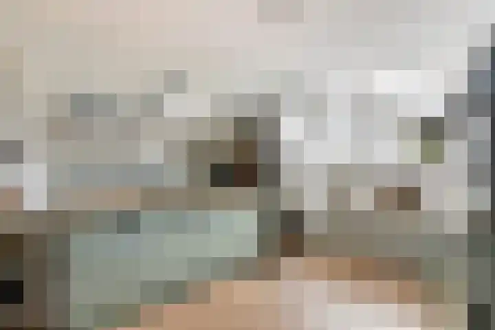 Mahonie 210 Dordrecht thumbnail 19