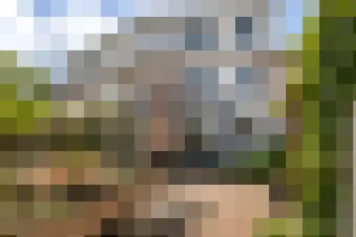 Mahonie 210 Dordrecht thumbnail 4