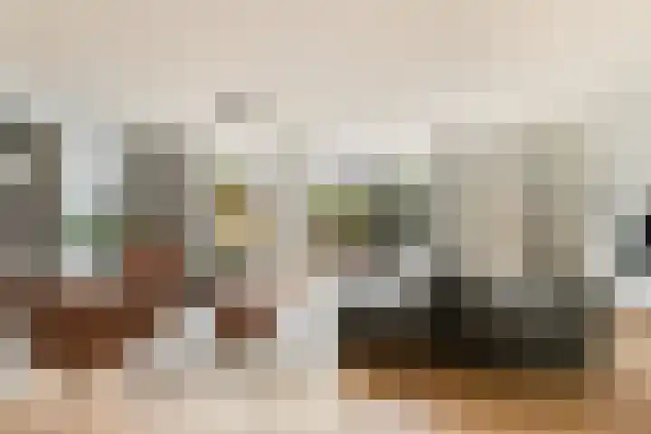 Mahonie 210 Dordrecht thumbnail 8
