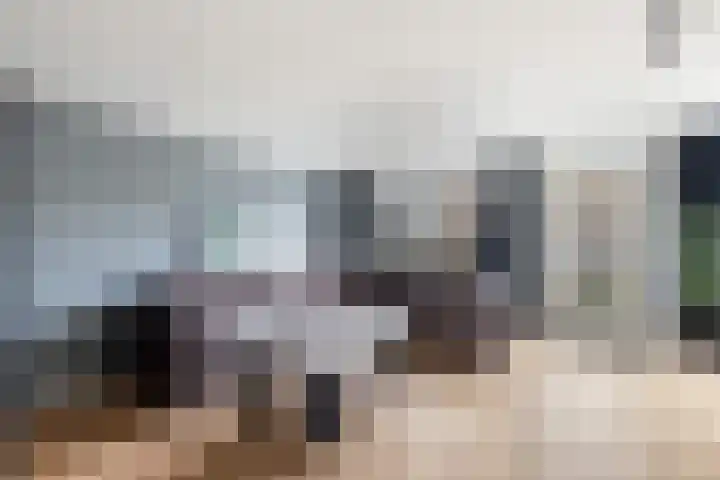 Mahonie 220 Dordrecht thumbnail 5