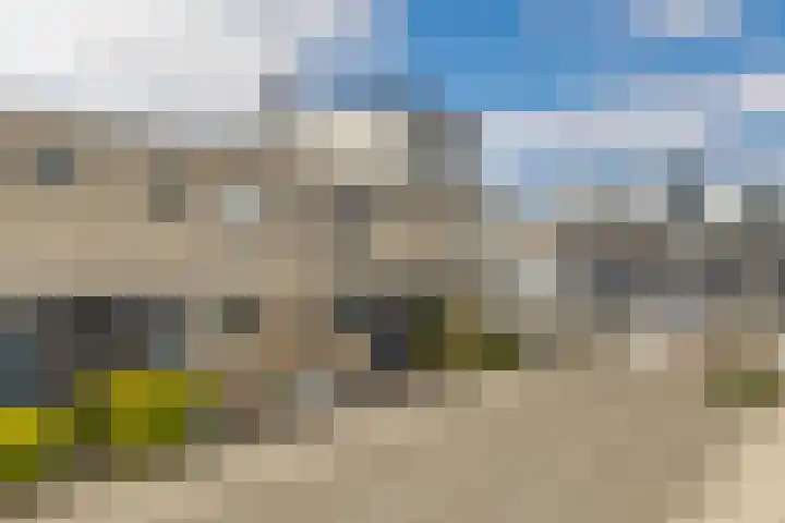 Mahonie 258 Dordrecht thumbnail 6