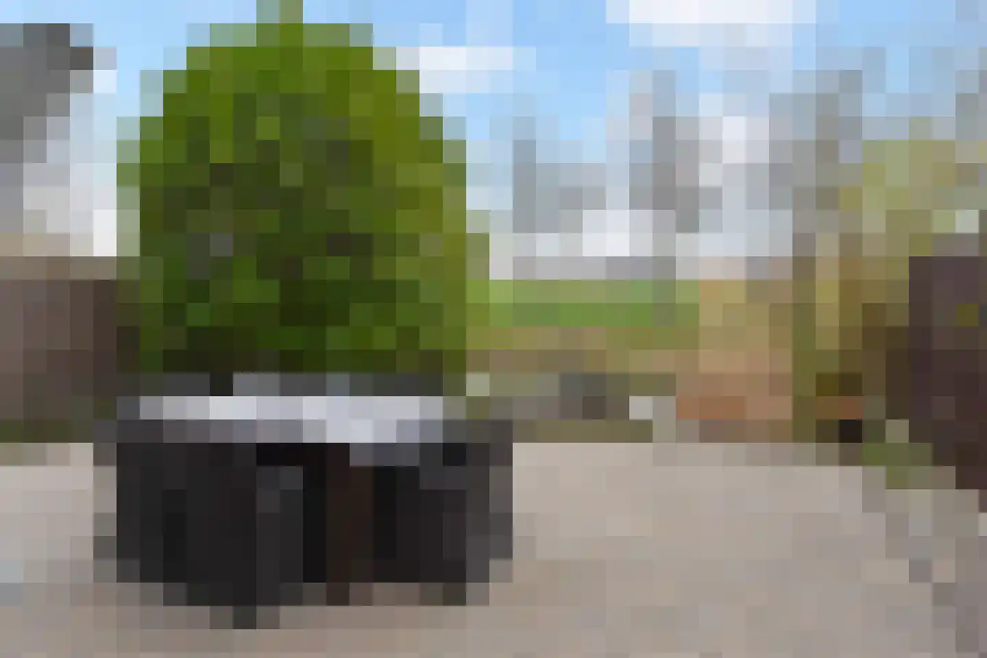 Mahoniehout 12 Zoetermeer thumbnail 16