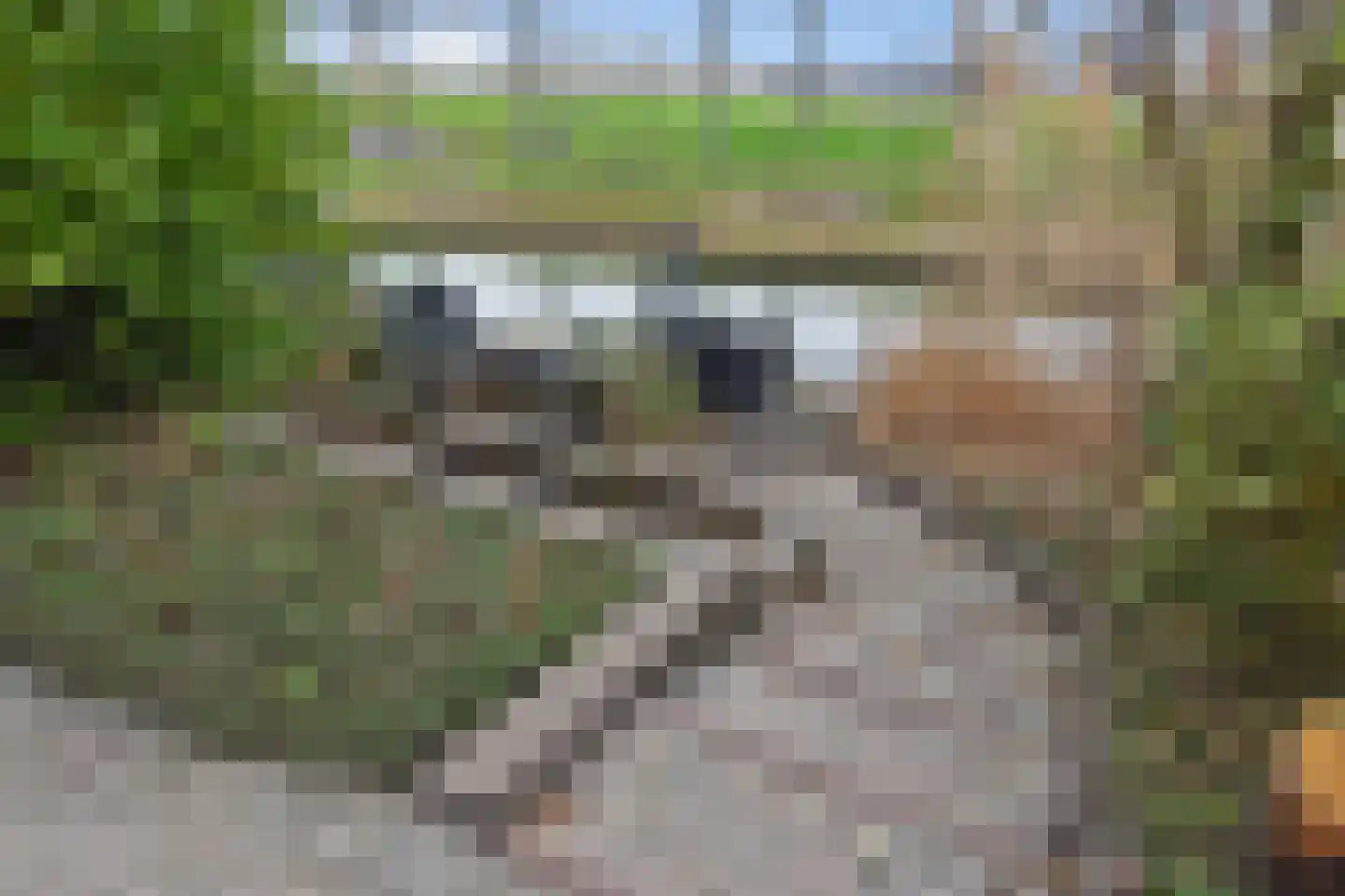 Mahoniehout 12 Zoetermeer thumbnail 17