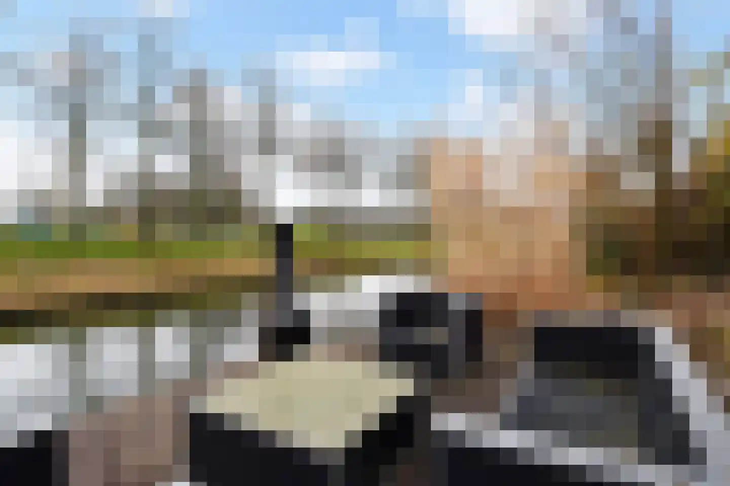 Mahoniehout 12 Zoetermeer thumbnail 19