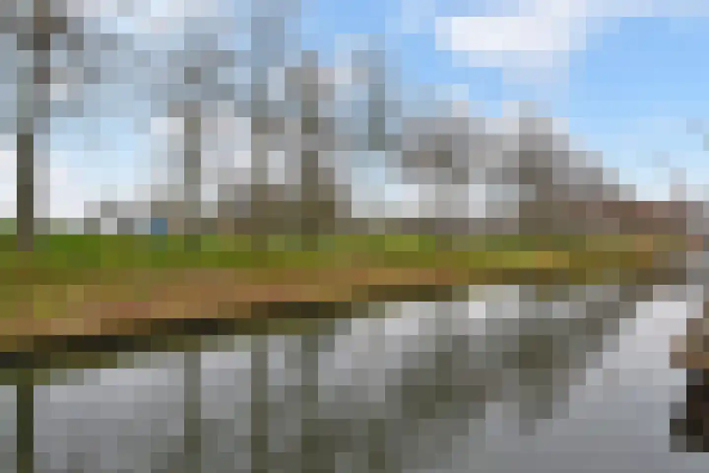 Mahoniehout 12 Zoetermeer thumbnail 20