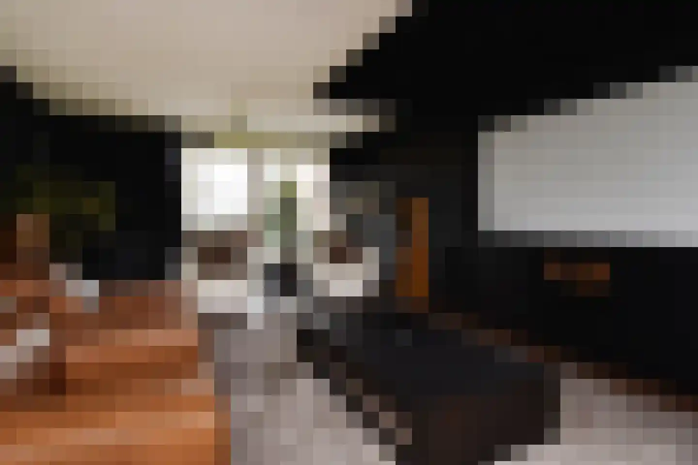 Mahoniehout 12 Zoetermeer thumbnail 28