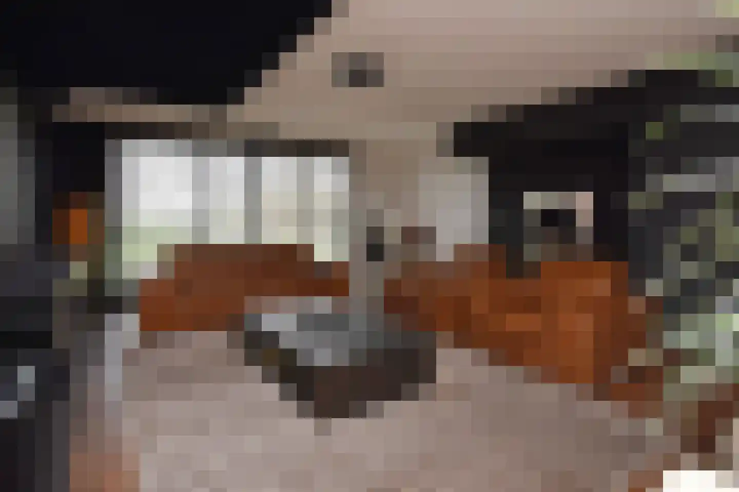 Mahoniehout 12 Zoetermeer thumbnail 30
