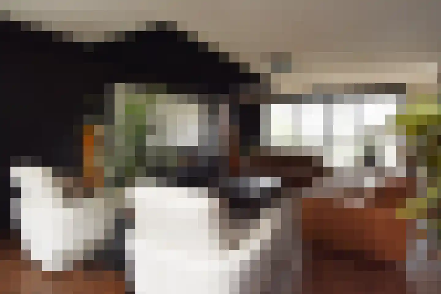 Mahoniehout 12 Zoetermeer thumbnail 31