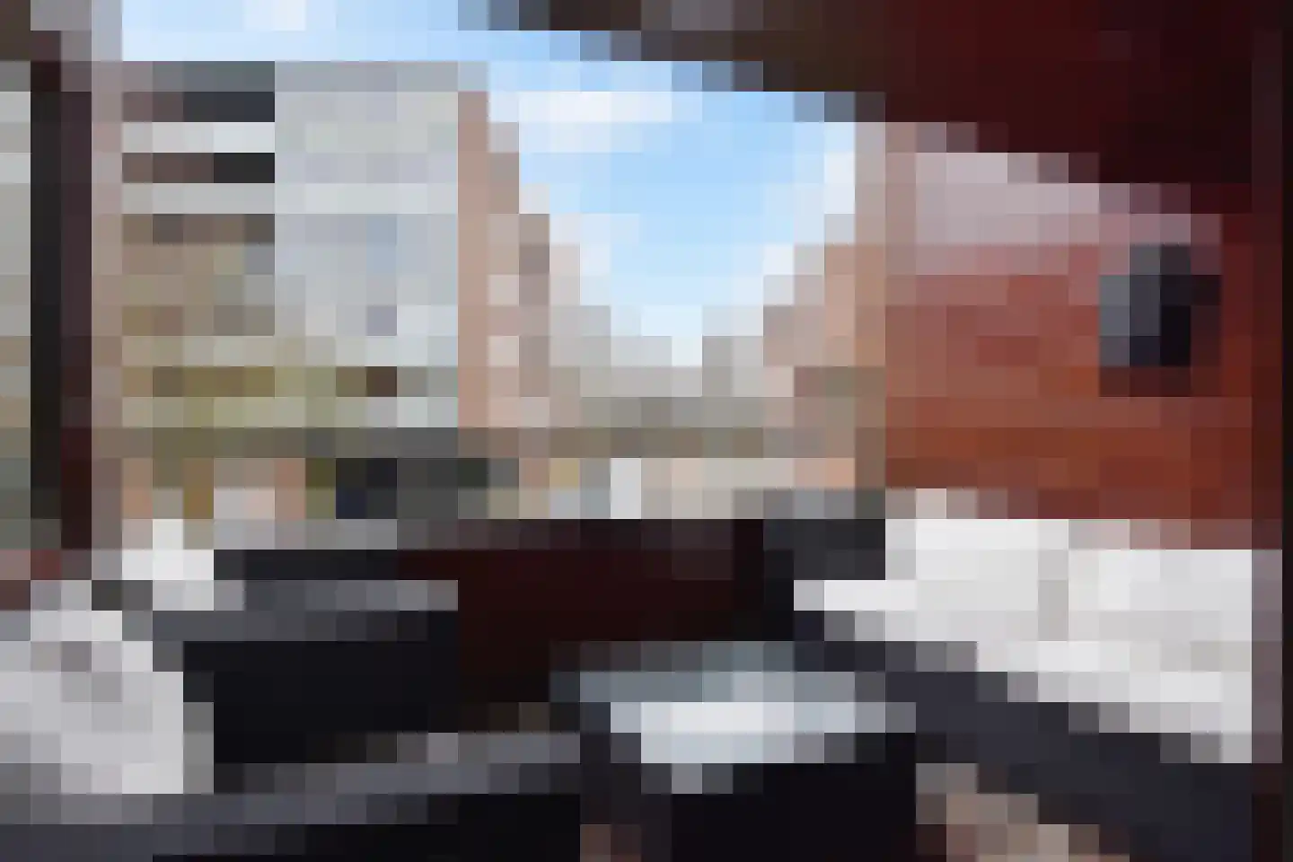 Mahoniehout 12 Zoetermeer thumbnail 32