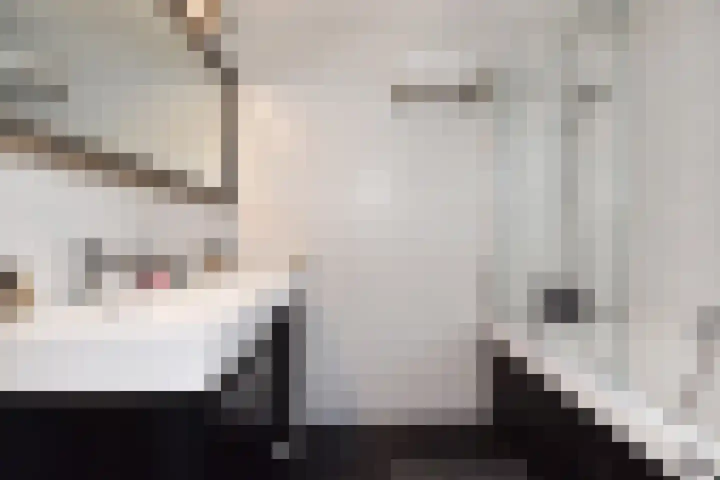 Mahoniehout 12 Zoetermeer thumbnail 41