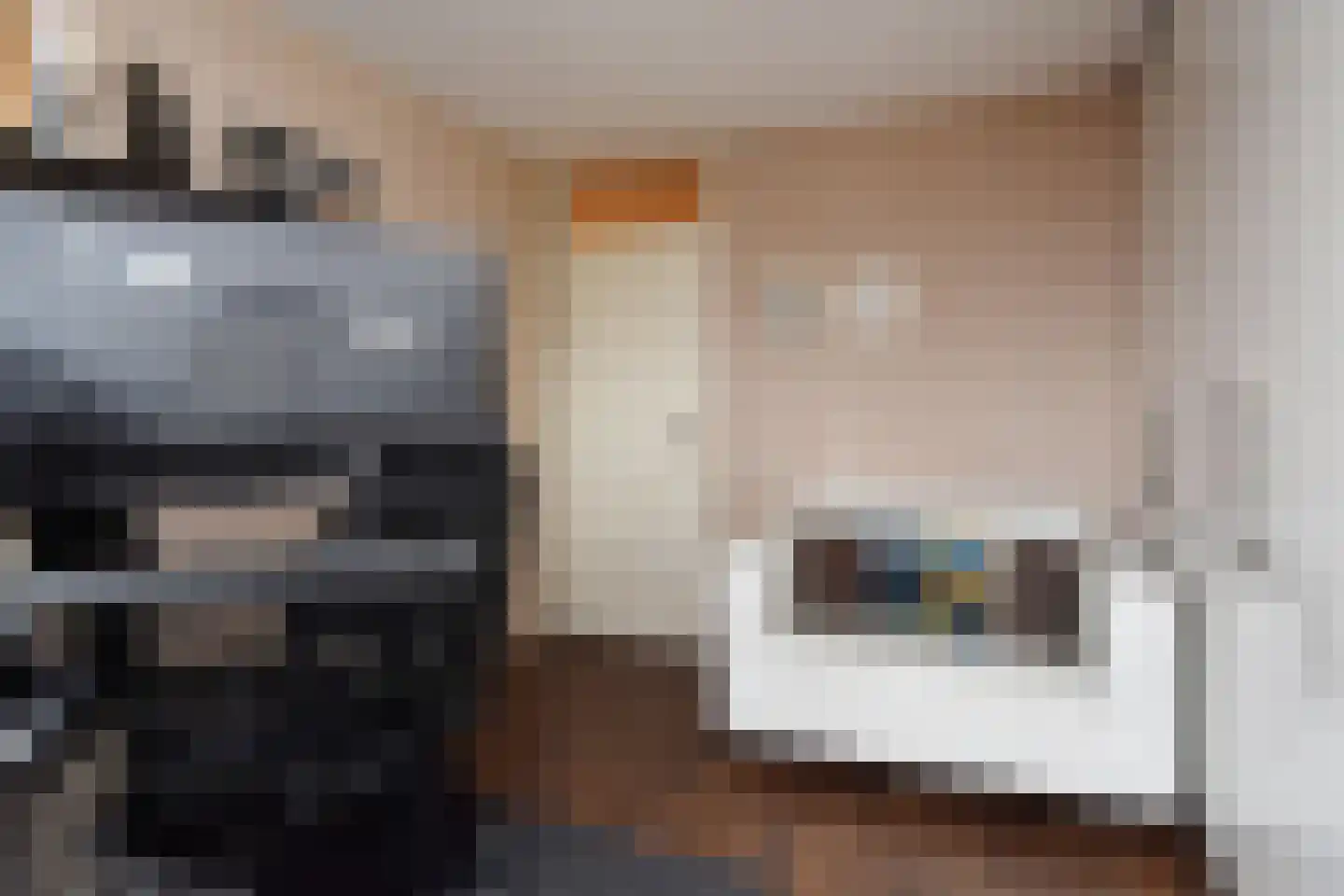 Mahoniehout 12 Zoetermeer thumbnail 45