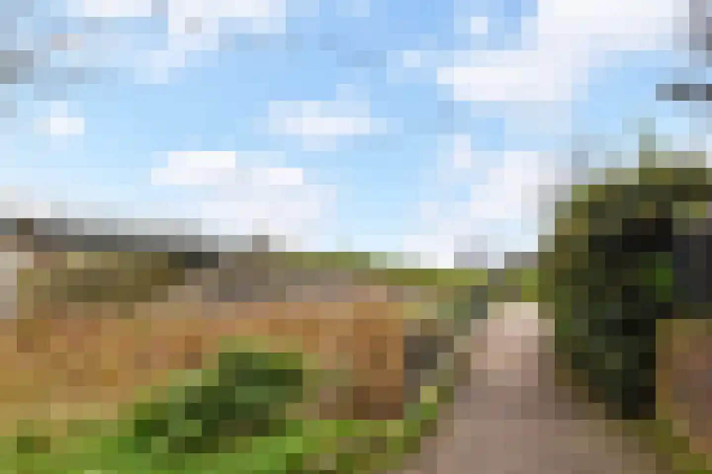 Mahoniehout 12 Zoetermeer thumbnail 50