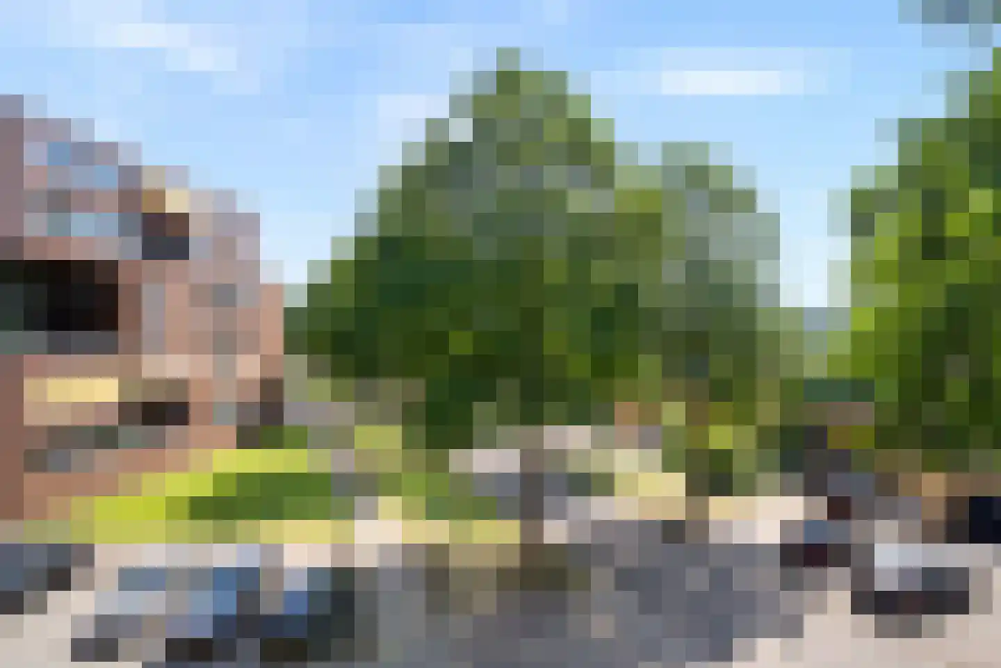 Mahoniehout 17 Zoetermeer thumbnail 26