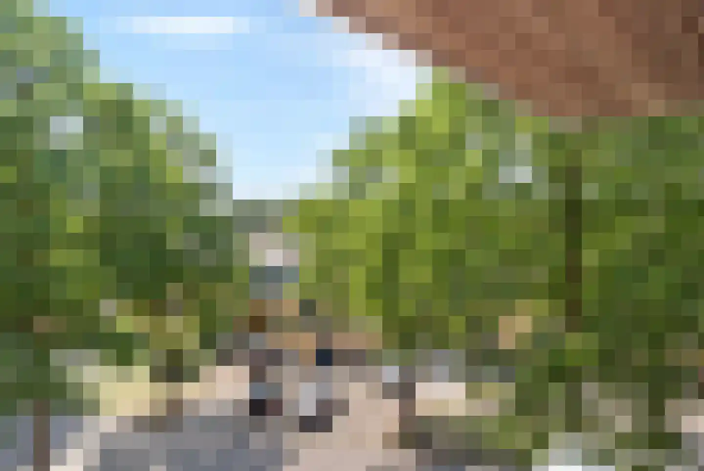 Mahoniehout 17 Zoetermeer thumbnail 33