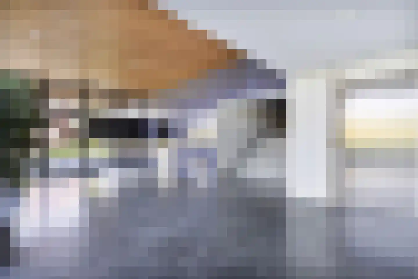 Mahoniehout 17 Zoetermeer thumbnail 4