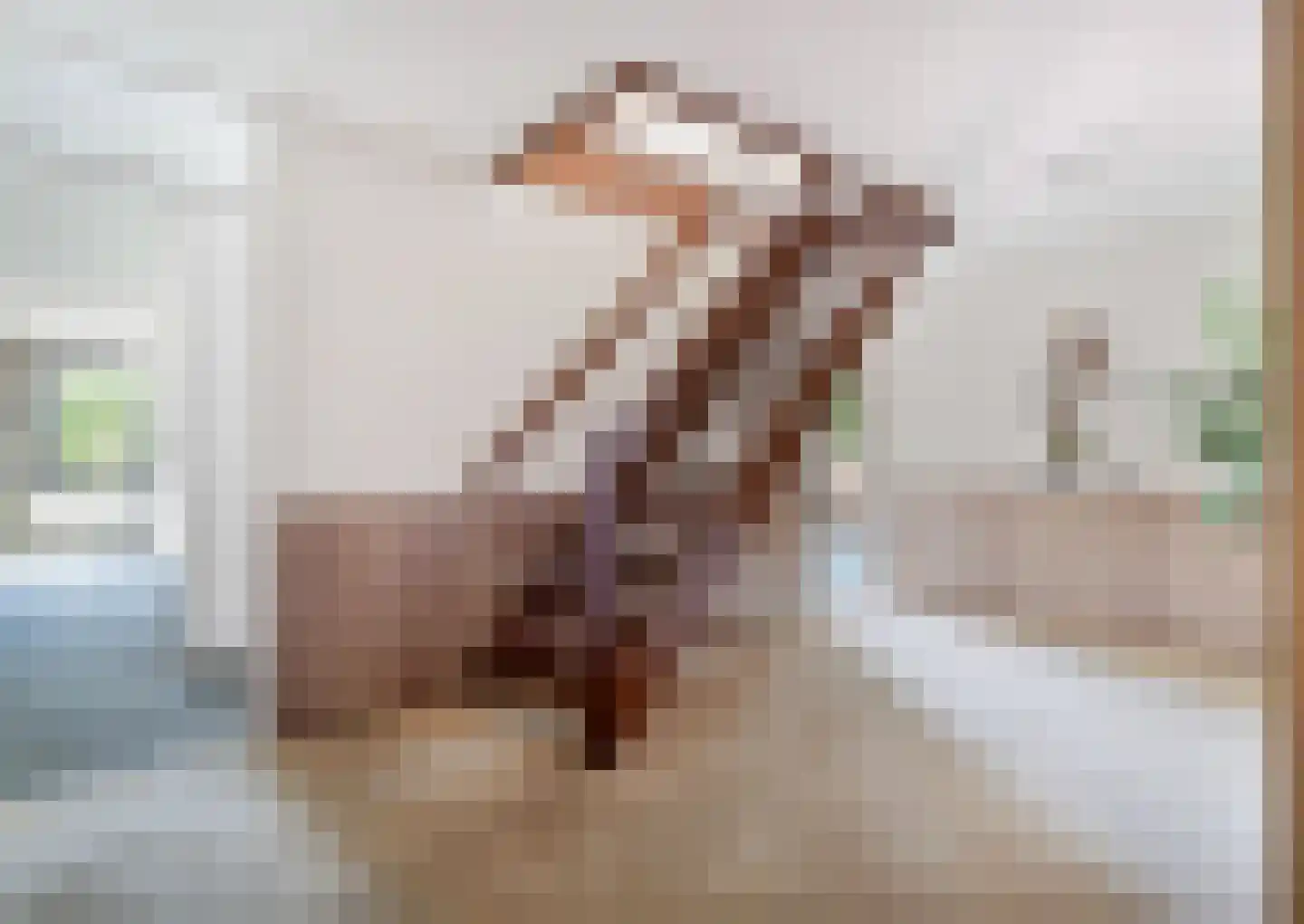 Mahoniehout 17 Zoetermeer thumbnail 5