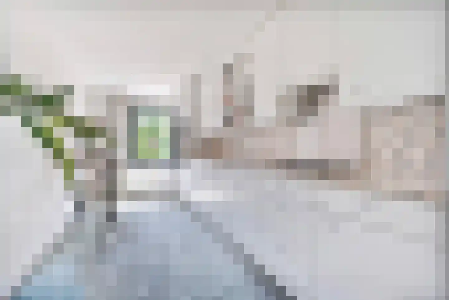 Mahoniehout 17 Zoetermeer thumbnail 7