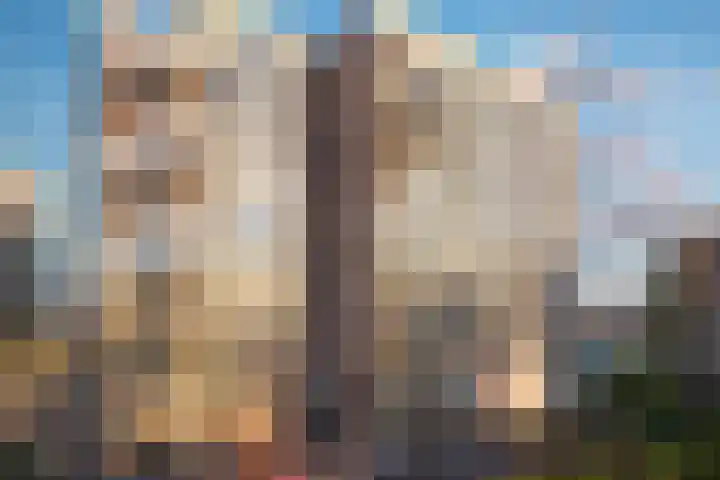 Mahoniehout 390 Zaandam thumbnail 4