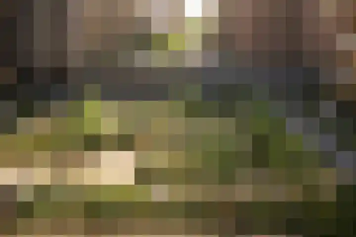 Mahoniehout 390 Zaandam thumbnail 8
