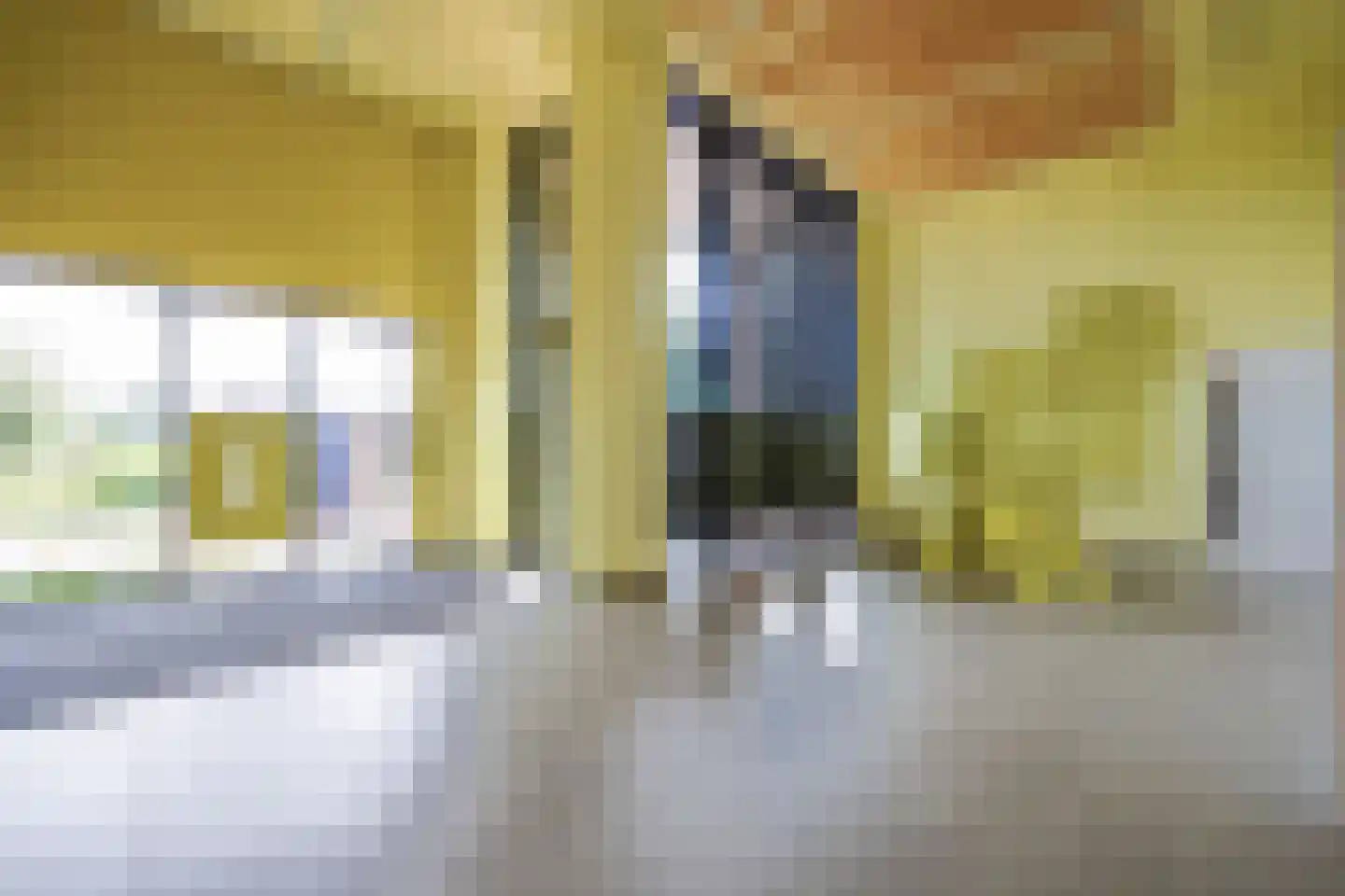Mahoniehout 394 Zaandam thumbnail 27