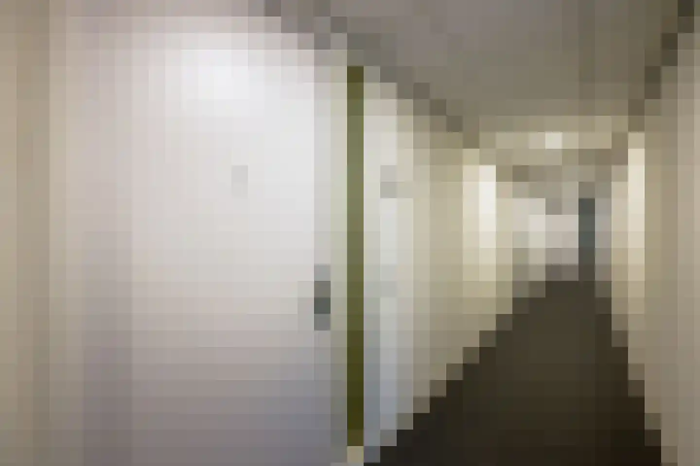Mahoniehout 394 Zaandam thumbnail 9