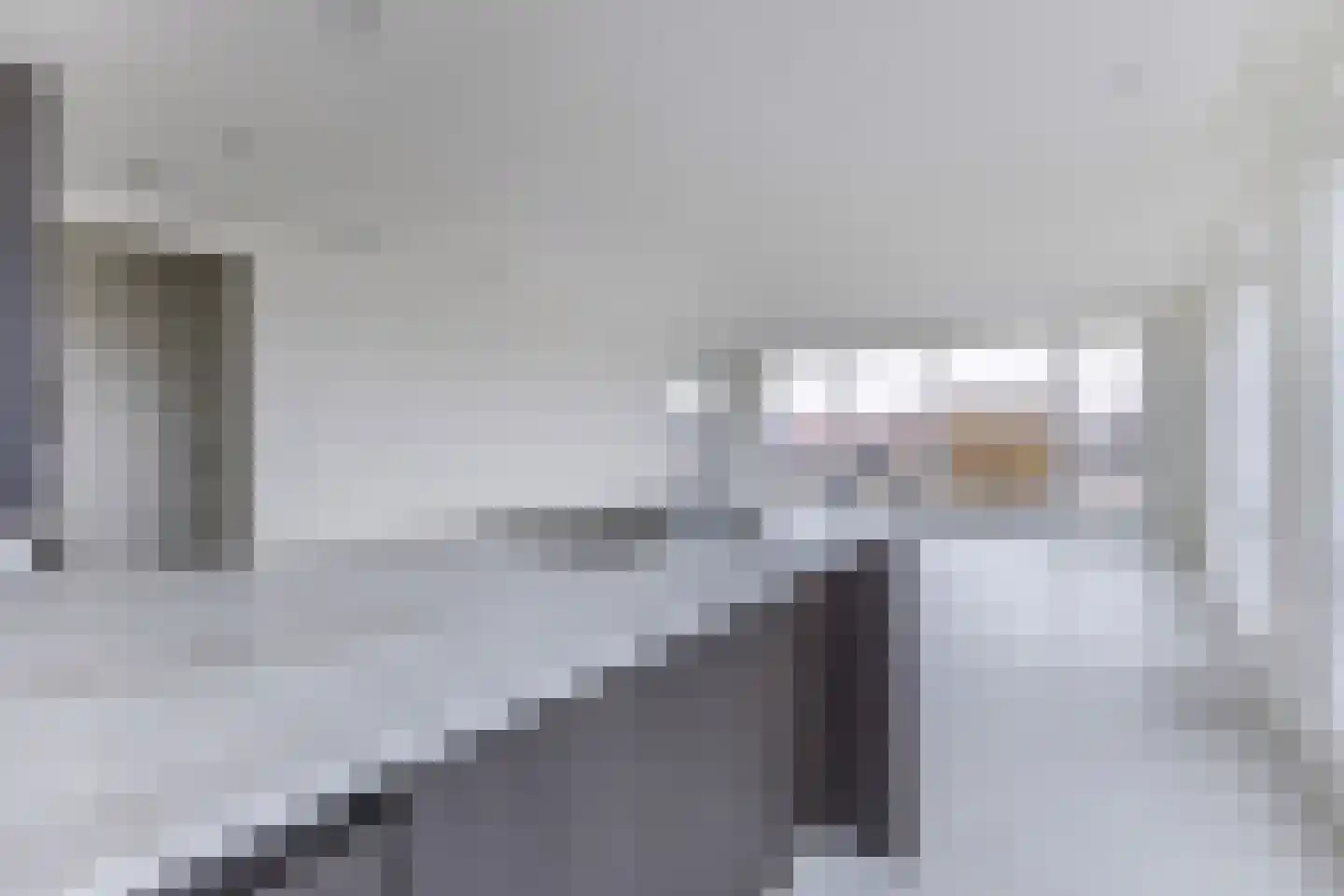 Mahoniehout 397 in Zaandam