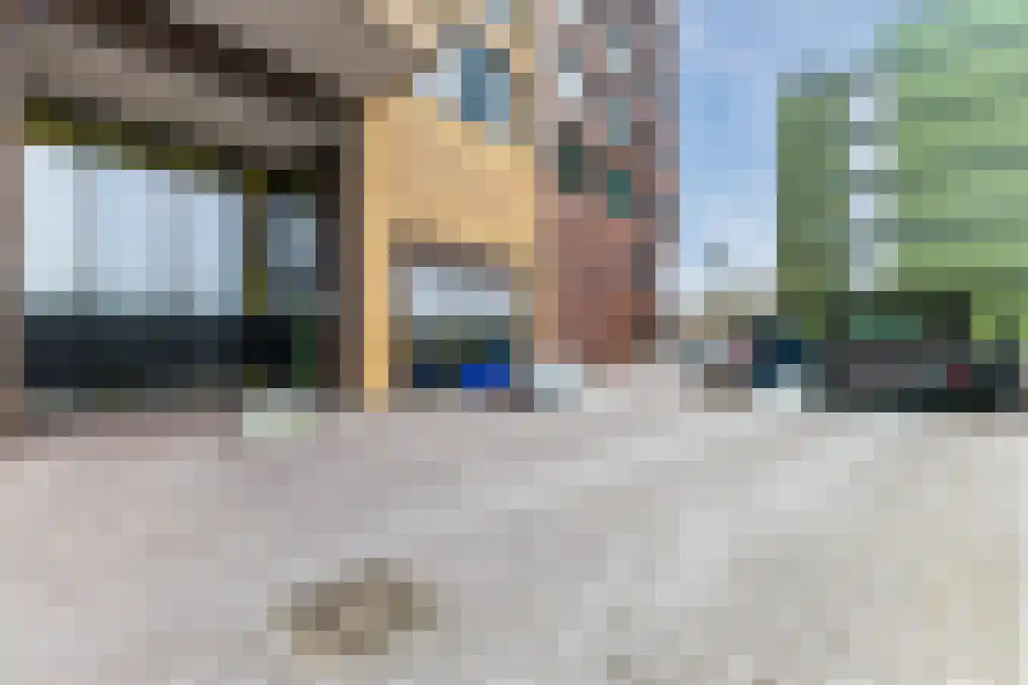 Mahoniehout 397 Zaandam thumbnail 13