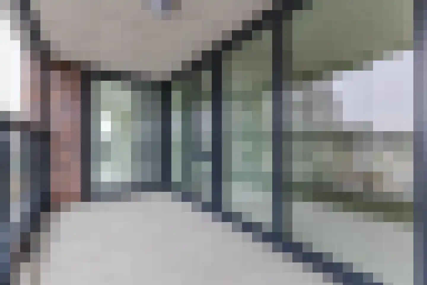 Mahoniehout 397 Zaandam thumbnail 50