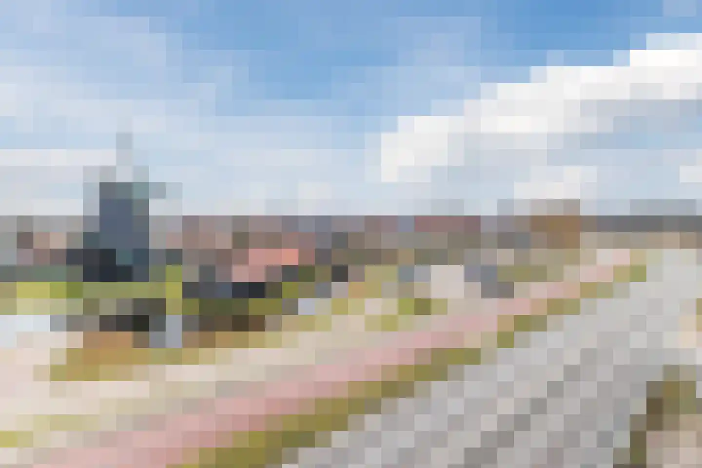 Mahoniehout 397 Zaandam thumbnail 7