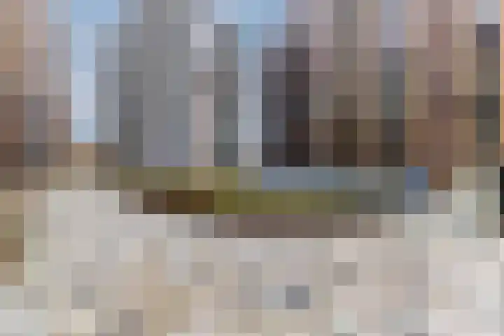 Mahoniehout 406 Zaandam thumbnail 40