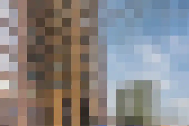 Mahoniehout 406 Zaandam thumbnail 8