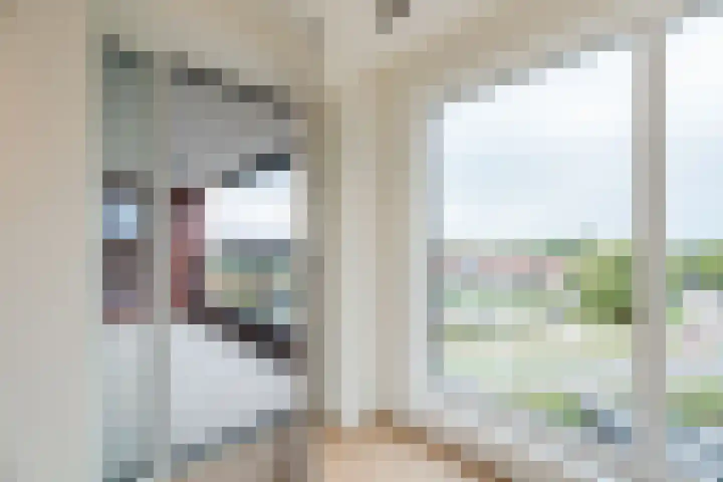 Mahoniehout 413 Zaandam thumbnail 13