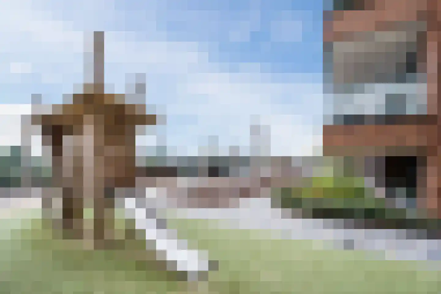 Mahoniehout 413 Zaandam thumbnail 43