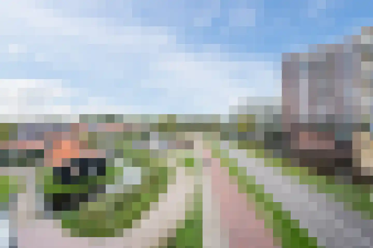 Mahoniehout 413 Zaandam thumbnail 46