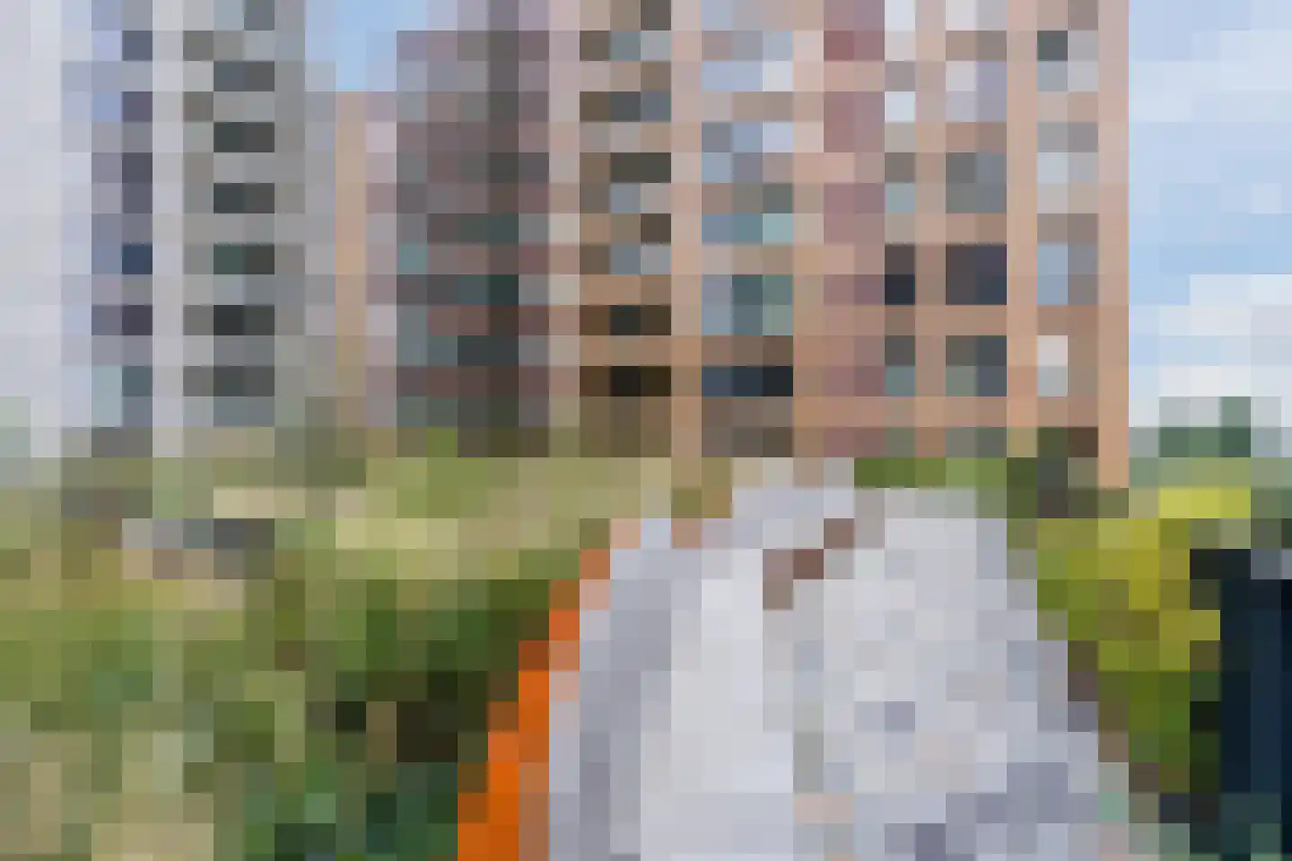Mahoniehout 413 Zaandam thumbnail 48
