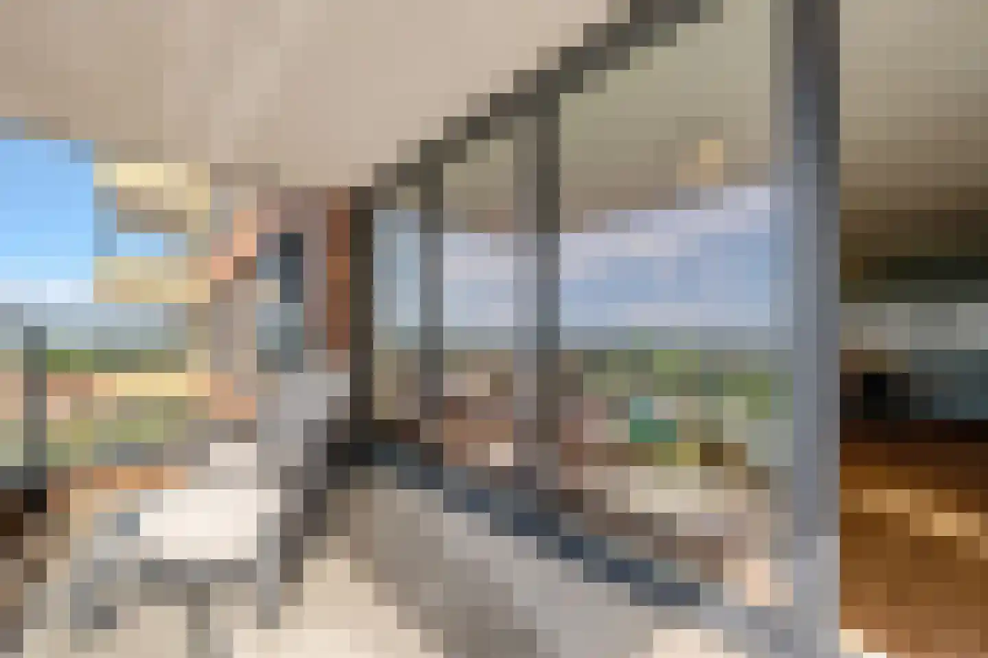 Mahoniehout 425 Zaandam thumbnail 13