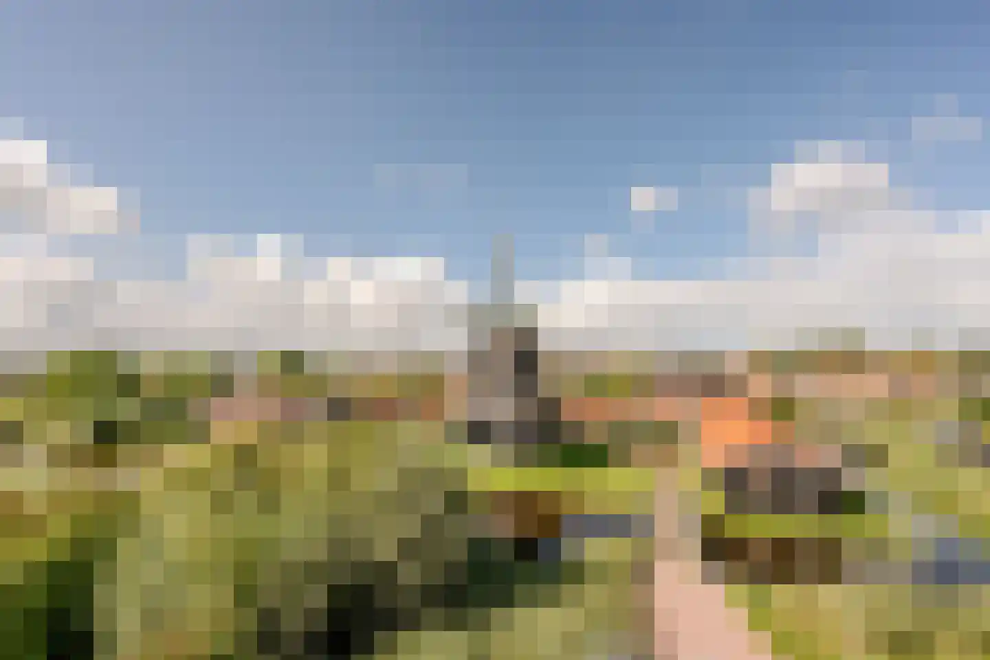 Mahoniehout 425 Zaandam thumbnail 35