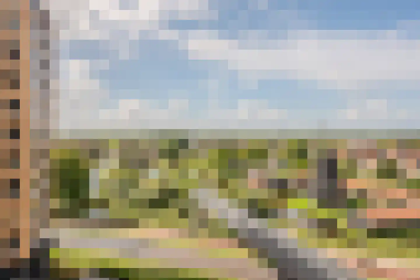 Mahoniehout 425 Zaandam thumbnail 5