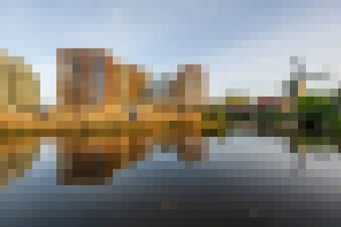 Mahoniehout 436 Zaandam