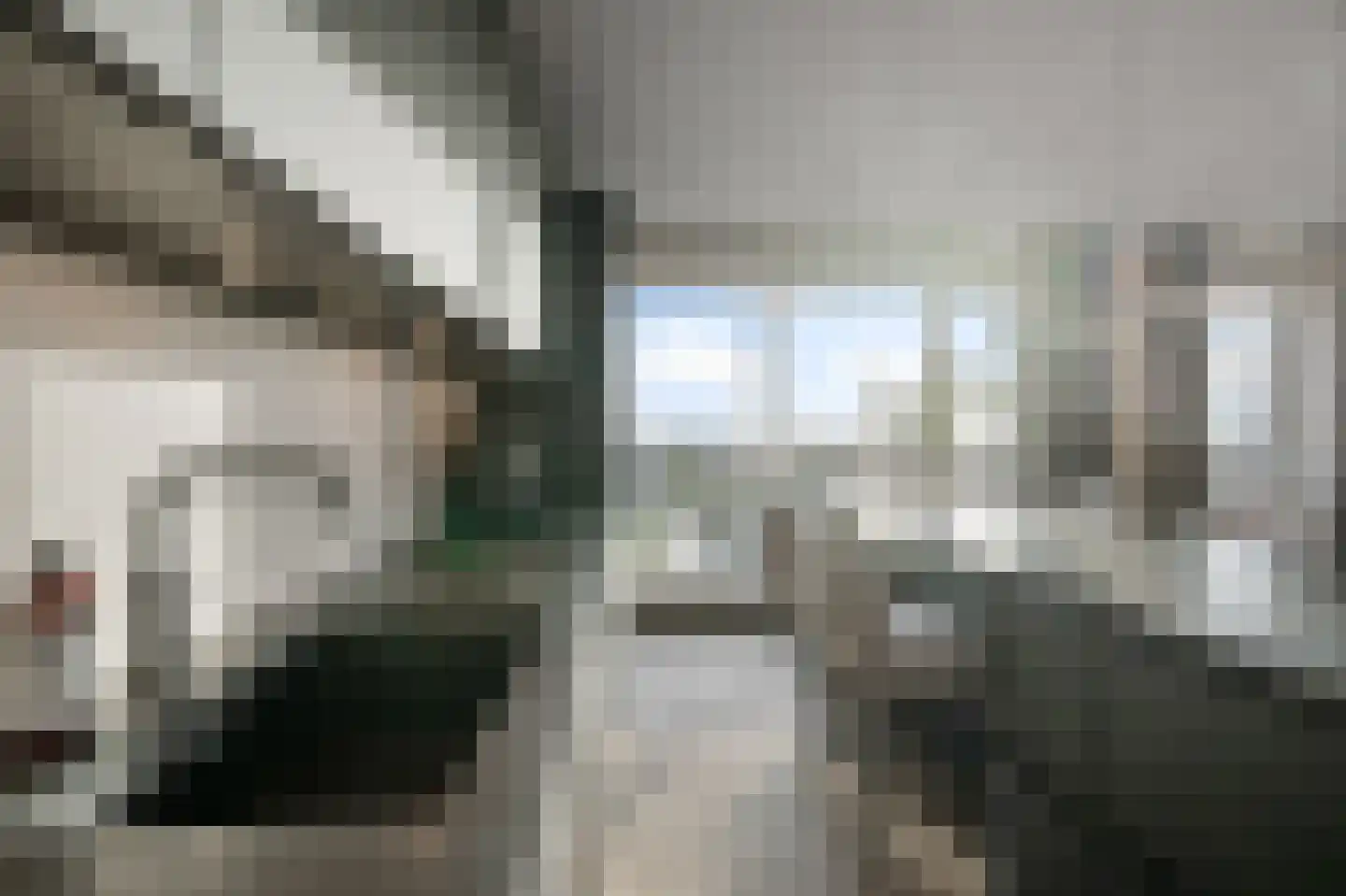Mahoniehout 436 Zaandam thumbnail 10